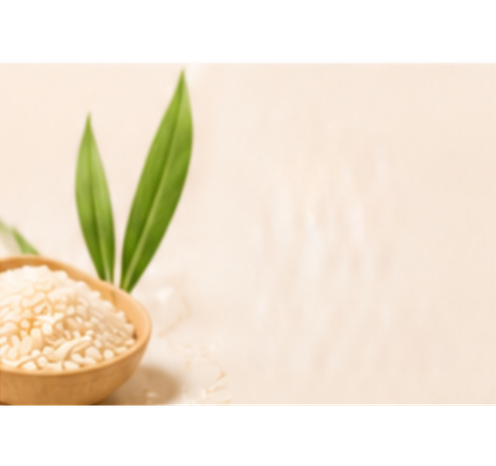 Rice Extract